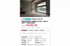 两次法拍均无人报名 艺人周震南父亲公司过亿房产被变卖|大侠看房图片