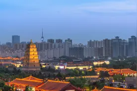 颜彪华：细谈薯蓣丸图片