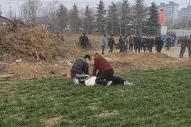 网传“一群黑衣人打人强拆，养猪场被夷为平地”！官方：内容不实图片