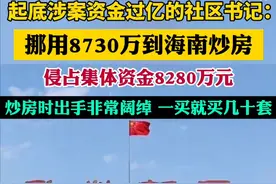 一个800人的社区的书记，是如何挪用、侵占集体资金过亿元的图片