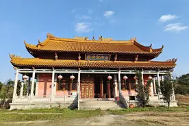 一加11拍照分享2倍20倍和微距图片