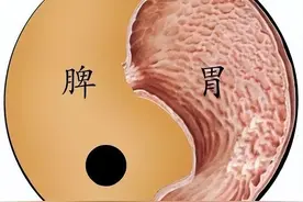 分享补气健脾、化湿祛痰的6个经典中成药，学会全家受益图片