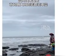 台风杜苏芮吹来的遍地生蚝，到底从何而来？能不能吃？图片