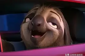 9.2分的《疯狂动物城》出了衍生剧，你看了吗？图片