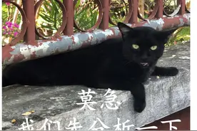 【以案释法】提醒之下仍逗留球场，被球砸伤致十级伤残，这是否属于“自甘风险”？图片