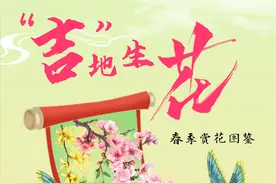 “吉”地生花——春季赏花图鉴图片