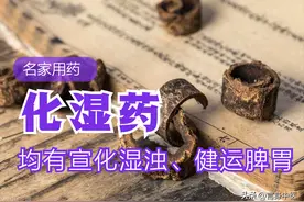 名家用药：化湿药的应用和配伍，均有宣化湿浊、健运脾胃之功图片