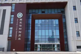 探访全球容量最大的作物“种子银行” 种质库2.0是什么样的图片
