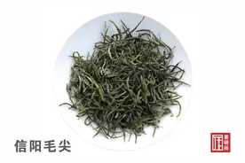 河南十大名茶排行榜（2023）图片