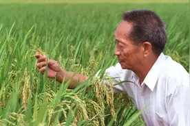 看到袁老3个儿子才明白：教育如种稻，栽培影响孩子一生图片