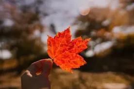 一个男人，没有问过你这些问题，其实就是不爱你图片