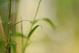王维最经典的7首诗，诗中有画，一生一定要读一次！图片