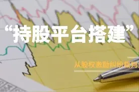从股权激励纠纷裁判分歧谈实务中“持股平台搭建”图片