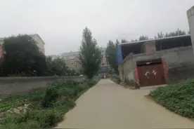 大表哥图片