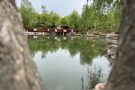 惊艳全秦皇岛！藏在这里的免费花海，美到犯规图片