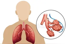 「珍藏版」慢性阻塞性肺病(COPD)-自我管理手册图片