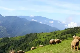 去台湾旅游回来后，说说我对台湾的20条看法图片