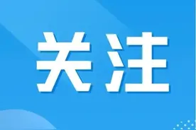 24岁男子酒驾逃逸父母辩称还小：“他什么都不知道啊，能不能等他醒来再说……”图片