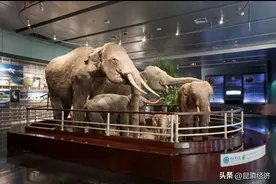 昆明动物博物馆门票拟调整图片
