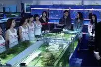 31.日本著名导演园子温出品惊悚恐怖电影《冰冷热带鱼》图片