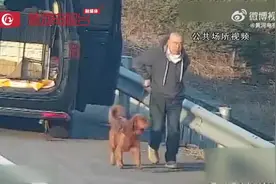 （视频）@太原人！山西：荒唐！男子高速路上停车遛狗图片