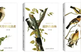 搜罗鸟儿故事，讲述山中奇遇 ——生态文学作品《长白山野生飞鸟集》正式出版图片