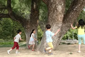 为什么父母走后，兄弟姐妹竟老死不相往来？背后原因扎心又现实！图片