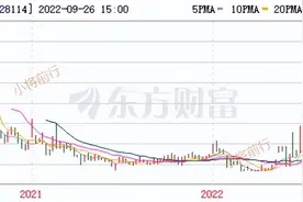到底投不投正邦转债图片