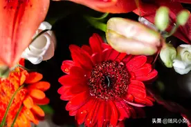 爸妈在我家住了六年多，却把40万存款全部给妹妹买房，老公气坏了图片