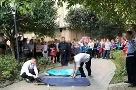 2019年，15岁学霸少女跳楼自杀，没有遗书，神秘手机成解谜关键图片