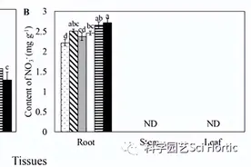 Sci Hortic | 尿素配施甘氨酸影响桃树氮素吸收、转运及转化图片