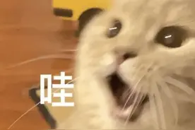 虞书欣这变化，是全娱乐圈女明星都要问医生的程度图片