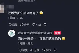 狗子绝育后在医院门口骂街滋尿，下一秒被逮后的表现引爆笑图片
