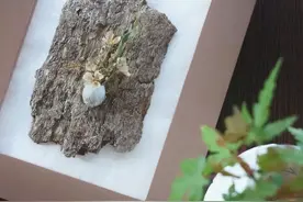 这些不起眼的小玩意儿，竟然这么好用！图片