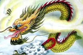 带你领略生肖文化的神奇魅力——今日说“龙”图片