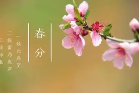 追随节气读诗歌——“春分”诗赏析图片
