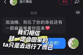 旅行青蛙宣布终止运营，知情人：vivo渠道抽成比例太高，因此终止合作图片