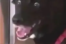 你见过最毁三观的事情是什么？图片