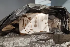 中听 | 我，女性，被黑色塑料袋特殊对待了图片