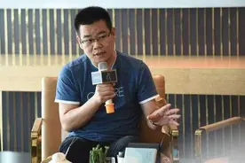徐则臣｜鸭子是怎样飞上天的图片