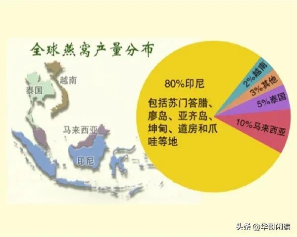 常吃燕窝对女人的好处和坏处 2026年常吃燕窝对女人的好处和坏处是什么