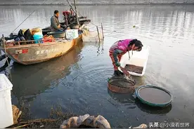 臭水沟里的活黄金，一晚纯赚上千元，疯狂背后是6.6万天价罚款图片