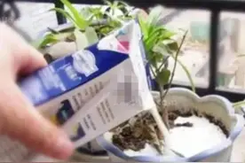 过期牛奶不要扔，七大妙用，变废为宝图片