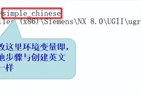 如何实现中英版共存？图片