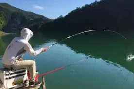 夏季钓鱼，吃透这些绝招，不管什么水面都能爆护，鱼获更上一层楼图片