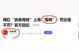 卖崽青蛙落网了，刺痛多少人的心，网友：许某馨和House何时落网图片