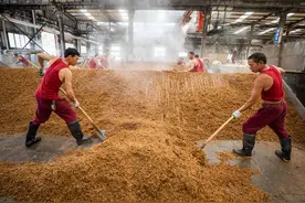 100斤粮食能酿多少斤酒？白酒的利润有多高？农村酿酒师道出真相图片
