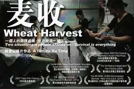 徐童游民三部曲-《麦收》-一个人的两种处境/生存就是一切图片