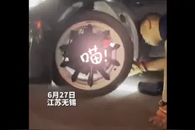 消防员学喵喵叫救出被困小奶猫图片