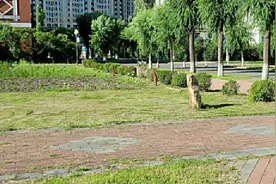 黑龙江省重特大疾病医疗保险和救助制度来啦！如何申请看这里图片